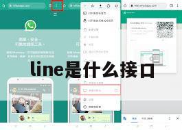 line是什么接口